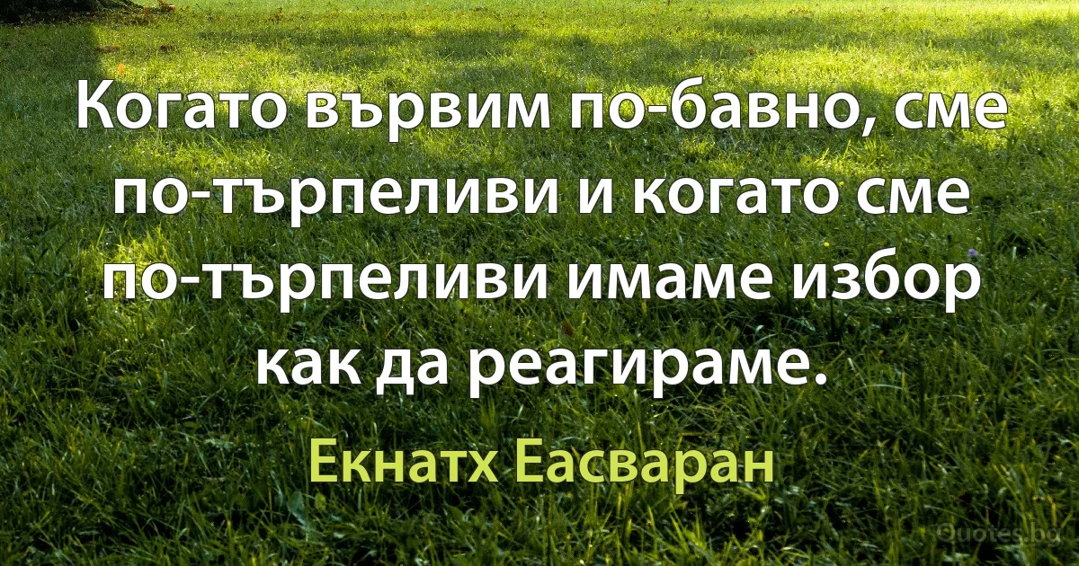 Когато вървим по-бавно, сме по-търпеливи и когато сме по-търпеливи имаме избор как да реагираме. (Екнатх Еасваран)