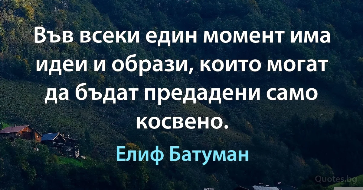 Във всеки един момент има идеи и образи, които могат да бъдат предадени само косвено. (Елиф Батуман)