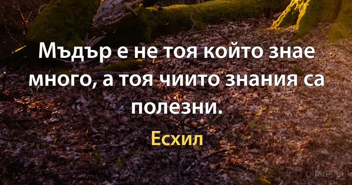 Мъдър е не тоя който знае много, а тоя чиито знания са полезни. (Есхил)