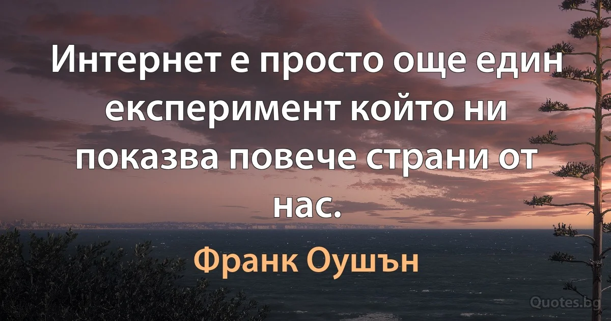 Интернет е просто още един експеримент който ни показва повече страни от нас. (Франк Оушън)