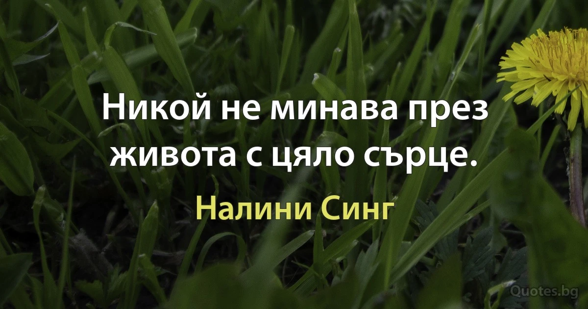 Никой не минава през живота с цяло сърце. (Налини Синг)