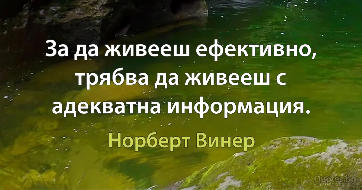 За да живееш ефективно, трябва да живееш с адекватна информация. (Норберт Винер)