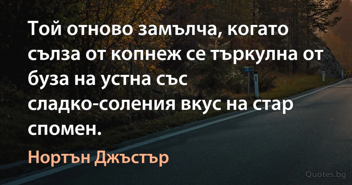 Той отново замълча, когато сълза от копнеж се търкулна от буза на устна със сладко-соления вкус на стар спомен. (Нортън Джъстър)