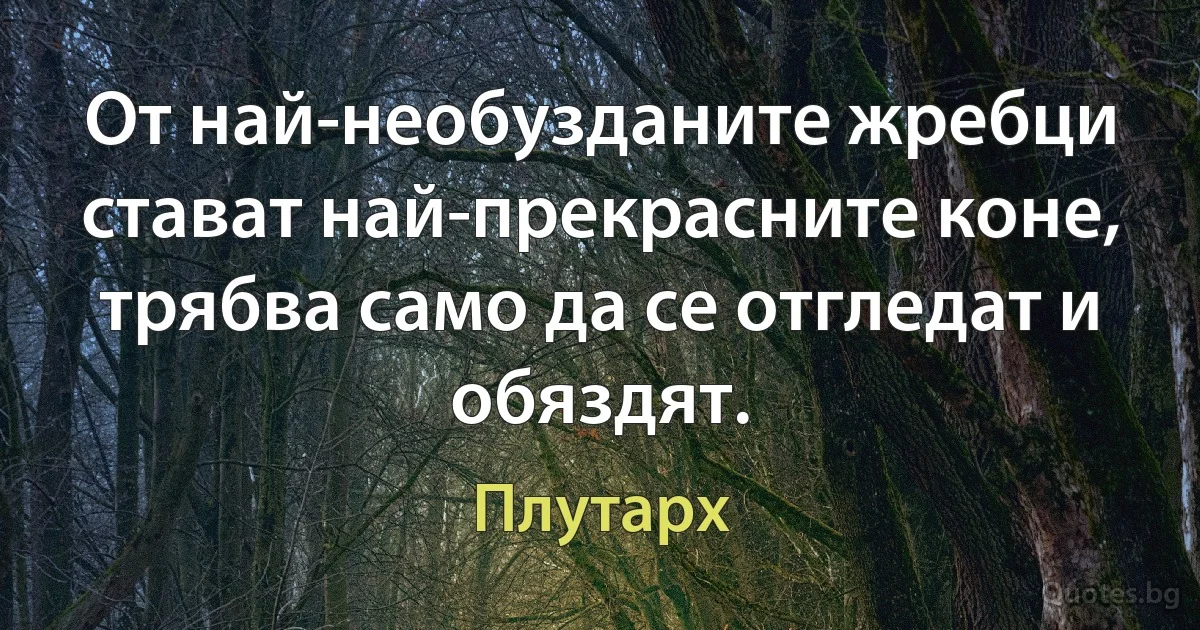 От най-необузданите жребци стават най-прекрасните коне, трябва само да се отгледат и обяздят. (Плутарх)