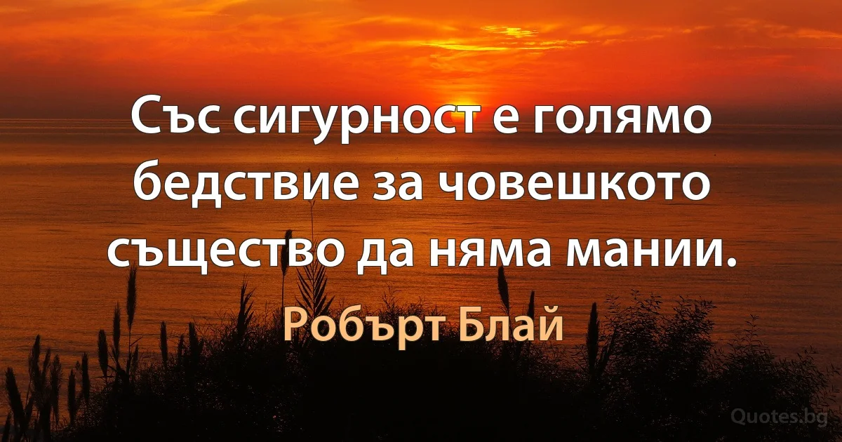 Със сигурност е голямо бедствие за човешкото същество да няма мании. (Робърт Блай)