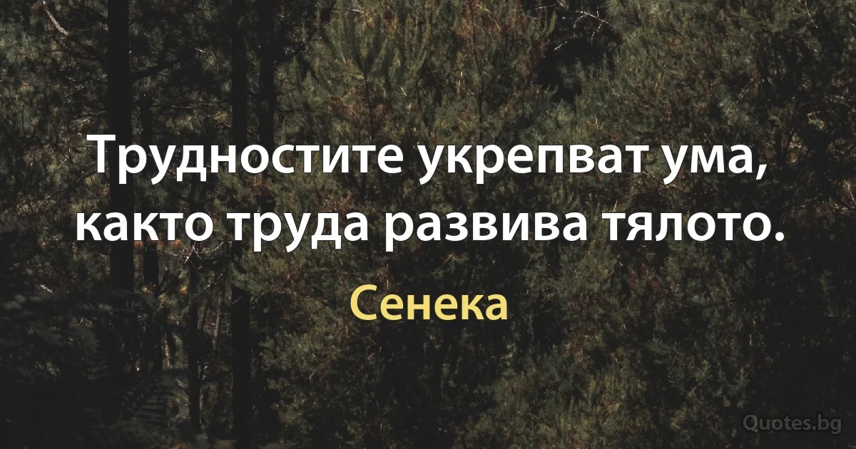 Трудностите укрепват ума, както труда развива тялото. (Сенека)