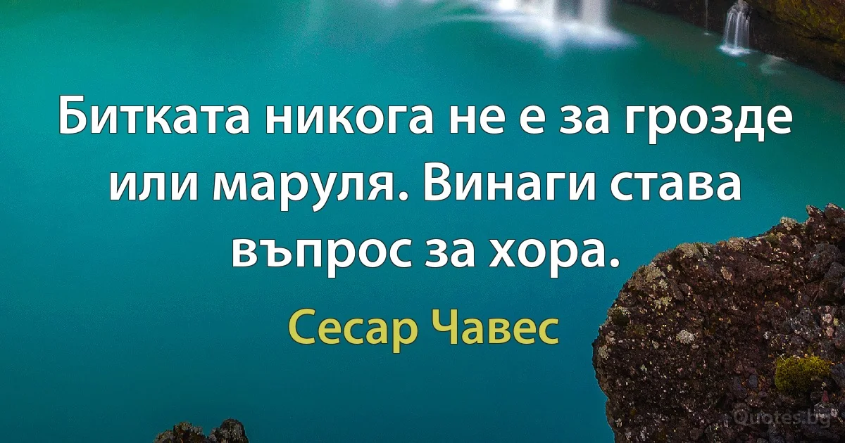 Битката никога не е за грозде или маруля. Винаги става въпрос за хора. (Сесар Чавес)