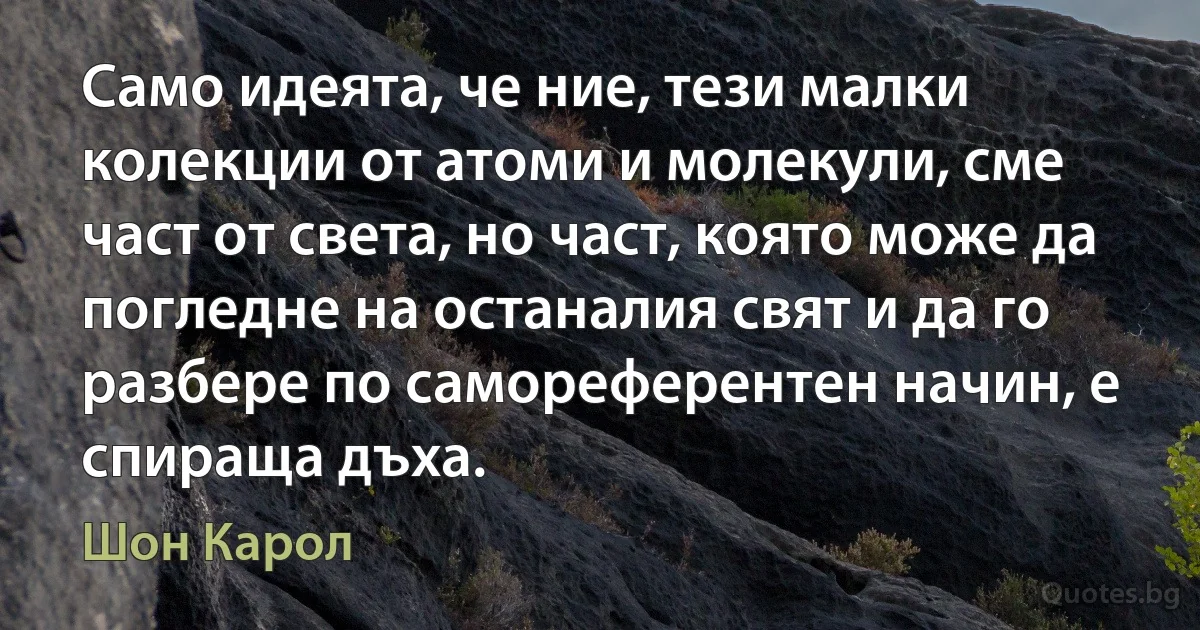 Само идеята, че ние, тези малки колекции от атоми и молекули, сме част от света, но част, която може да погледне на останалия свят и да го разбере по самореферентен начин, е спираща дъха. (Шон Карол)