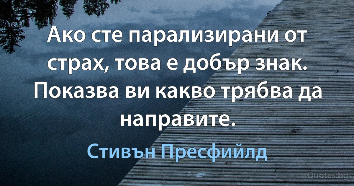 Ако сте парализирани от страх, това е добър знак. Показва ви какво трябва да направите. (Стивън Пресфийлд)