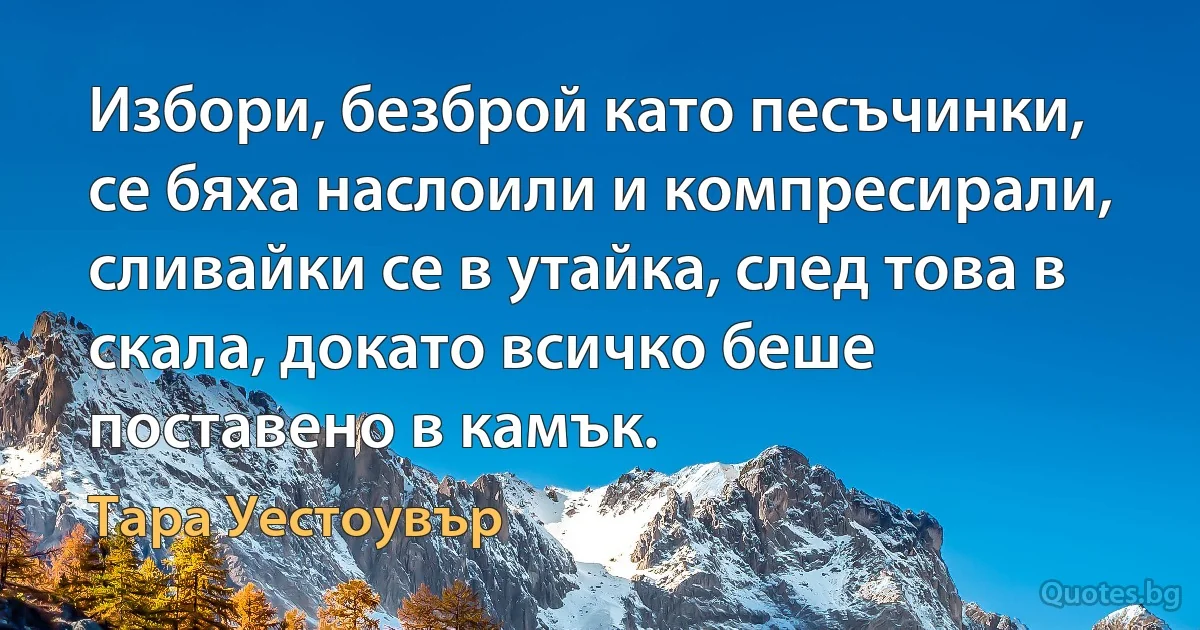 Избори, безброй като песъчинки, се бяха наслоили и компресирали, сливайки се в утайка, след това в скала, докато всичко беше поставено в камък. (Тара Уестоувър)