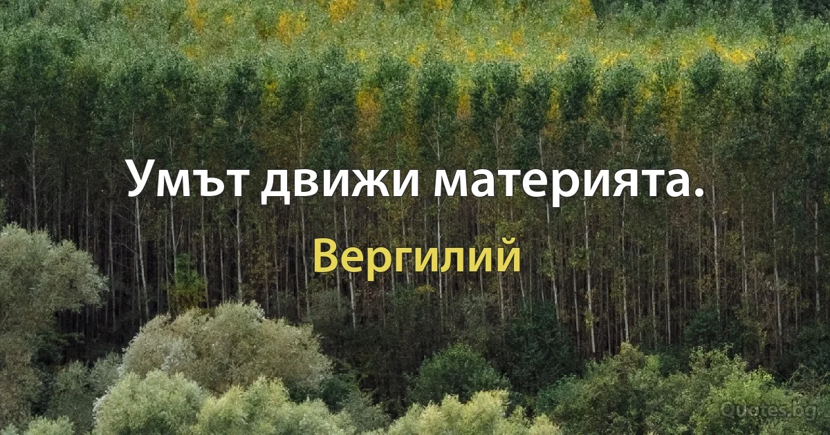 Умът движи материята. (Вергилий)