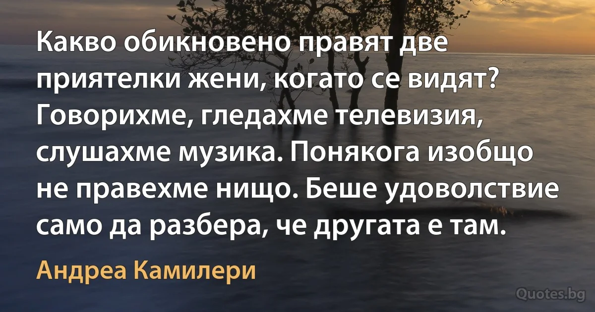 Какво обикновено правят две приятелки жени, когато се видят? Говорихме, гледахме телевизия, слушахме музика. Понякога изобщо не правехме нищо. Беше удоволствие само да разбера, че другата е там. (Андреа Камилери)