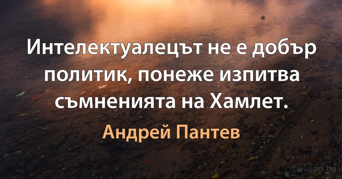 Интелектуалецът не е добър политик, понеже изпитва съмненията на Хамлет. (Андрей Пантев)