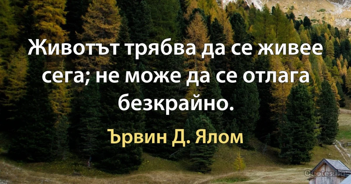 Животът трябва да се живее сега; не може да се отлага безкрайно. (Ървин Д. Ялом)