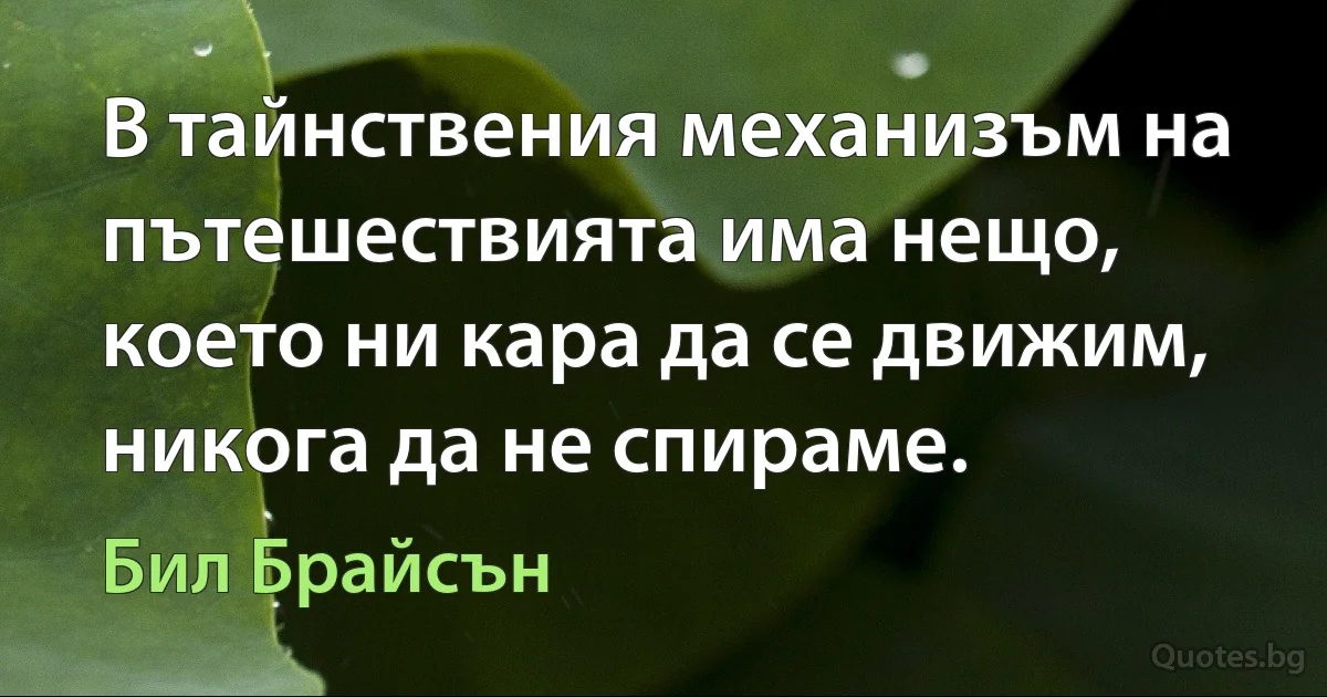 В тайнствения механизъм на пътешествията има нещо, което ни кара да се движим, никога да не спираме. (Бил Брайсън)