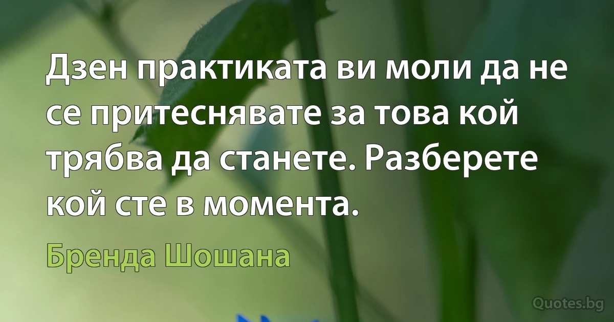 Дзен практиката ви моли да не се притеснявате за това кой трябва да станете. Разберете кой сте в момента. (Бренда Шошана)