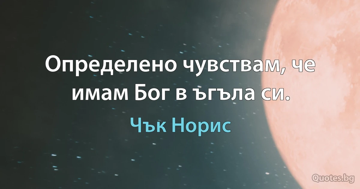 Определено чувствам, че имам Бог в ъгъла си. (Чък Норис)