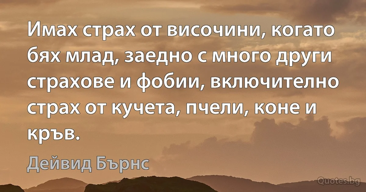 Имах страх от височини, когато бях млад, заедно с много други страхове и фобии, включително страх от кучета, пчели, коне и кръв. (Дейвид Бърнс)