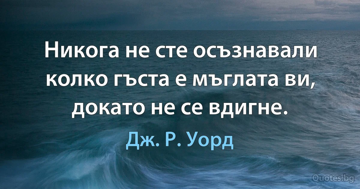 Никога не сте осъзнавали колко гъста е мъглата ви, докато не се вдигне. (Дж. Р. Уорд)