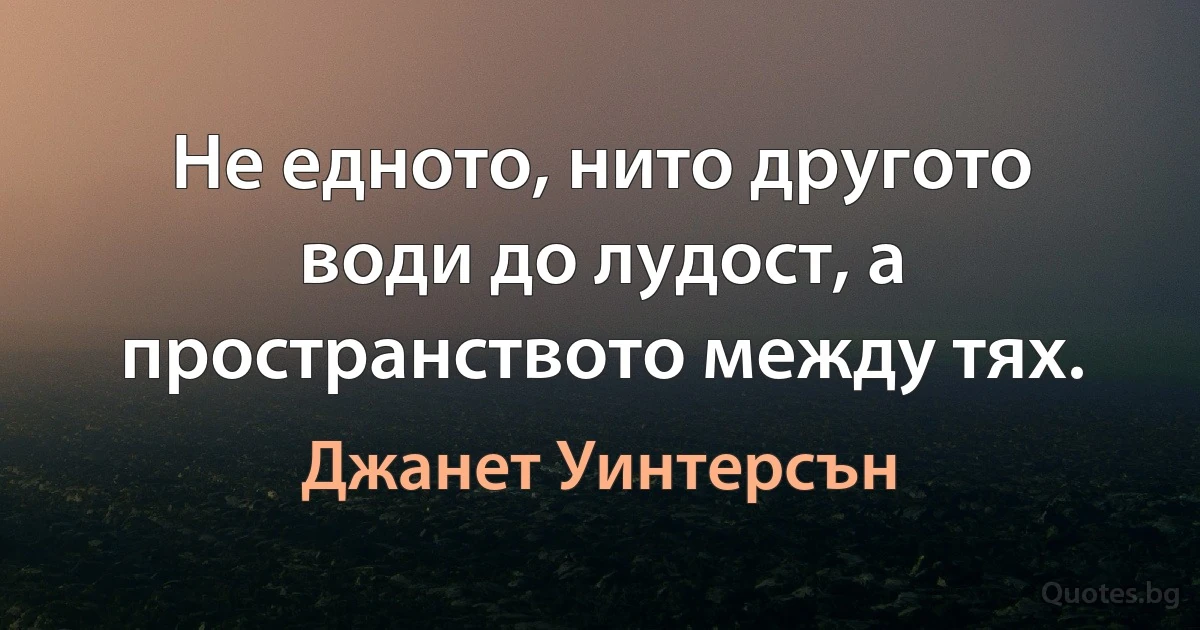 Не едното, нито другото води до лудост, а пространството между тях. (Джанет Уинтерсън)