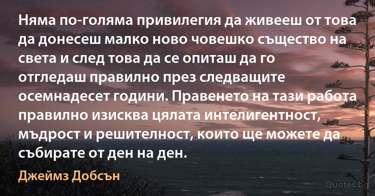 Няма по-голяма привилегия да живееш от това да донесеш малко ново човешко същество на света и след това да се опиташ да го отгледаш правилно през следващите осемнадесет години. Правенето на тази работа правилно изисква цялата интелигентност, мъдрост и решителност, които ще можете да събирате от ден на ден. (Джеймз Добсън)