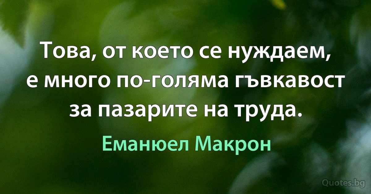 Това, от което се нуждаем, е много по-голяма гъвкавост за пазарите на труда. (Еманюел Макрон)