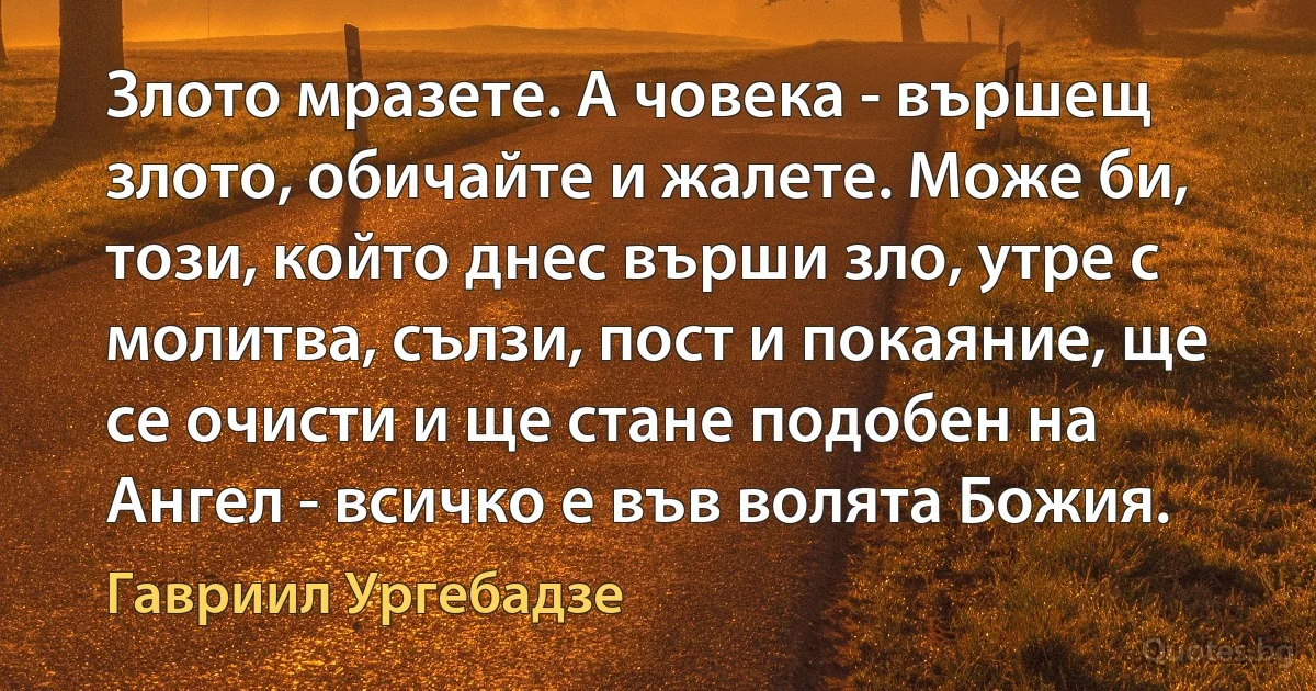 Злото мразете. А човека - вършещ злото, обичайте и жалете. Може би, този, който днес върши зло, утре с молитва, сълзи, пост и покаяние, ще се очисти и ще стане подобен на Ангел - всичко е във волята Божия. (Гавриил Ургебадзе)