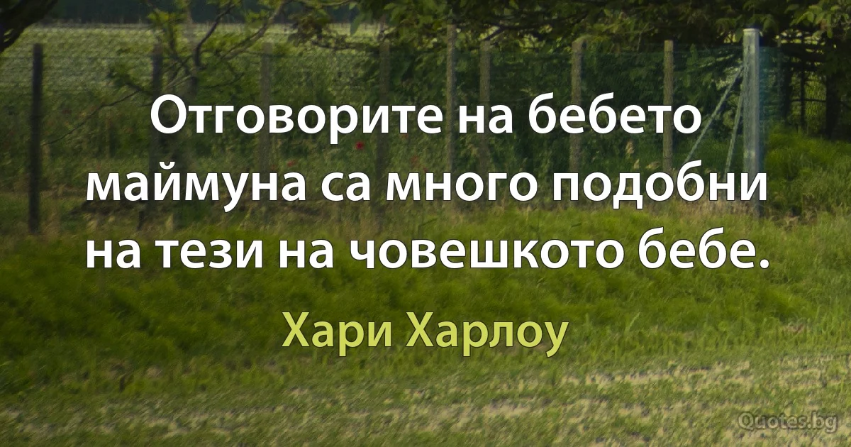 Отговорите на бебето маймуна са много подобни на тези на човешкото бебе. (Хари Харлоу)