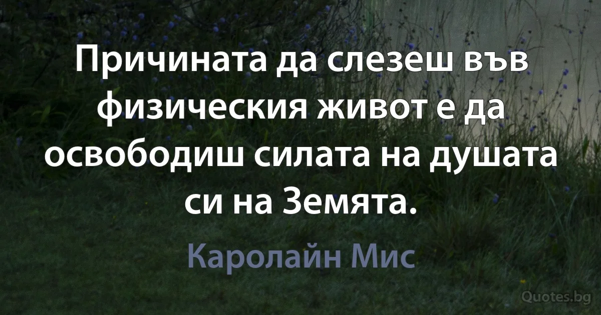 Причината да слезеш във физическия живот е да освободиш силата на душата си на Земята. (Каролайн Мис)