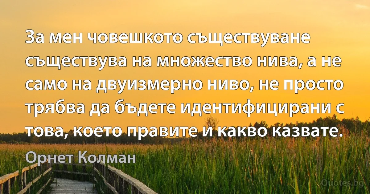 За мен човешкото съществуване съществува на множество нива, а не само на двуизмерно ниво, не просто трябва да бъдете идентифицирани с това, което правите и какво казвате. (Орнет Колман)