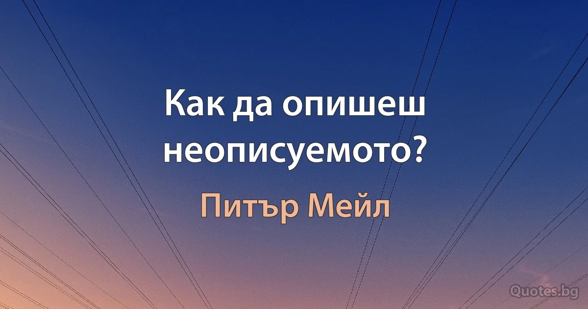 Как да опишеш неописуемото? (Питър Мейл)