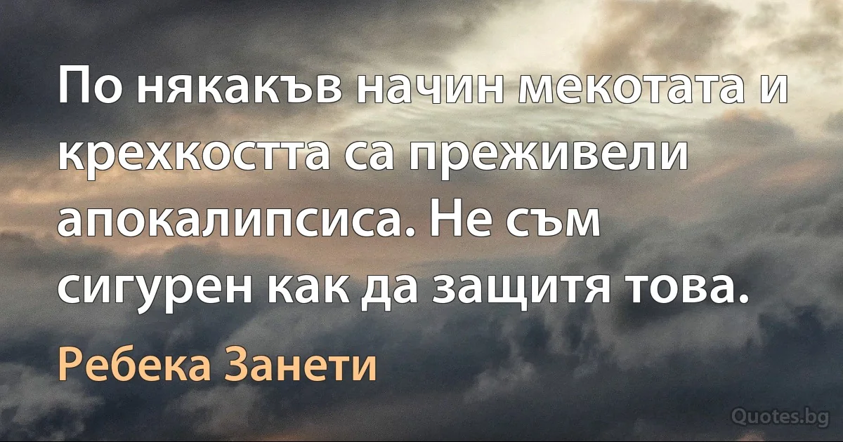 По някакъв начин мекотата и крехкостта са преживели апокалипсиса. Не съм сигурен как да защитя това. (Ребека Занети)