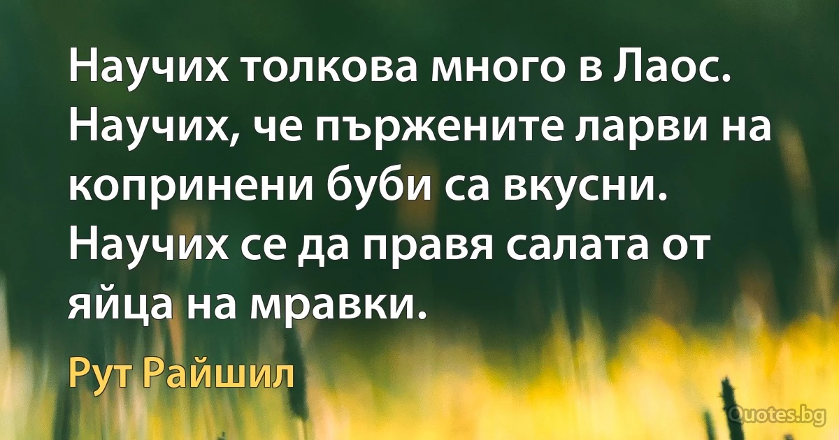 Научих толкова много в Лаос. Научих, че пържените ларви на копринени буби са вкусни. Научих се да правя салата от яйца на мравки. (Рут Райшил)