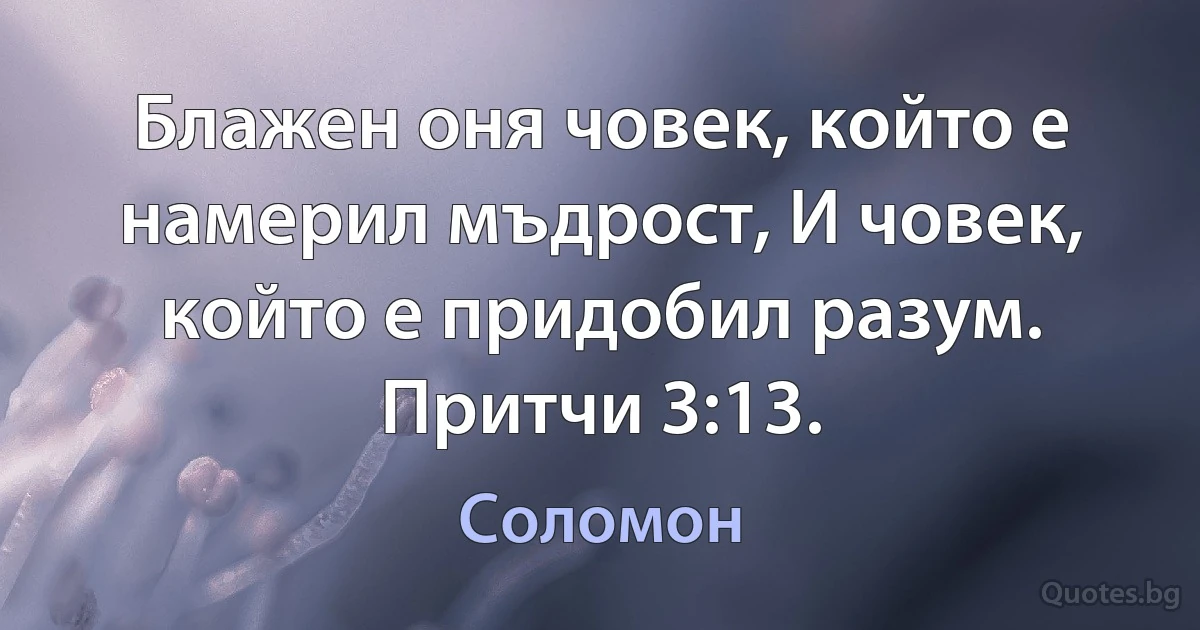 Блажен оня човек, който е намерил мъдрост, И човек, който е придобил разум. Притчи 3:13. (Соломон)