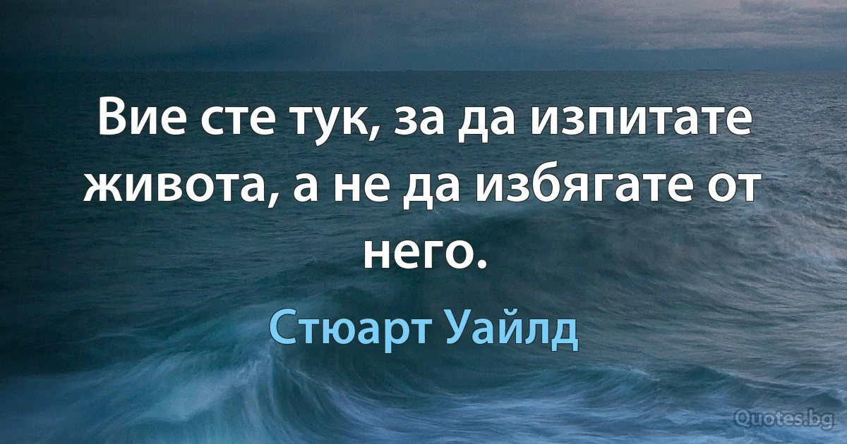 Вие сте тук, за да изпитате живота, а не да избягате от него. (Стюарт Уайлд)