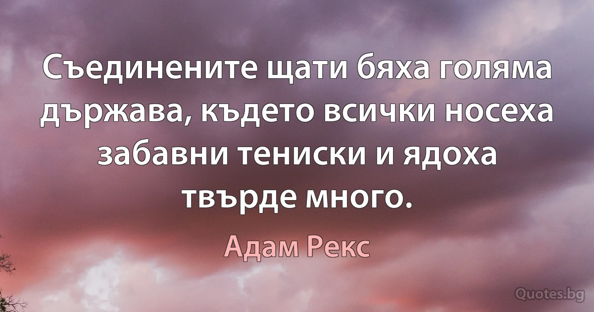 Съединените щати бяха голяма държава, където всички носеха забавни тениски и ядоха твърде много. (Адам Рекс)