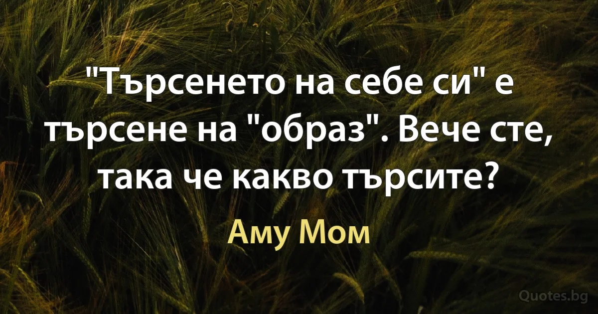 "Търсенето на себе си" е търсене на "образ". Вече сте, така че какво търсите? (Аму Мом)