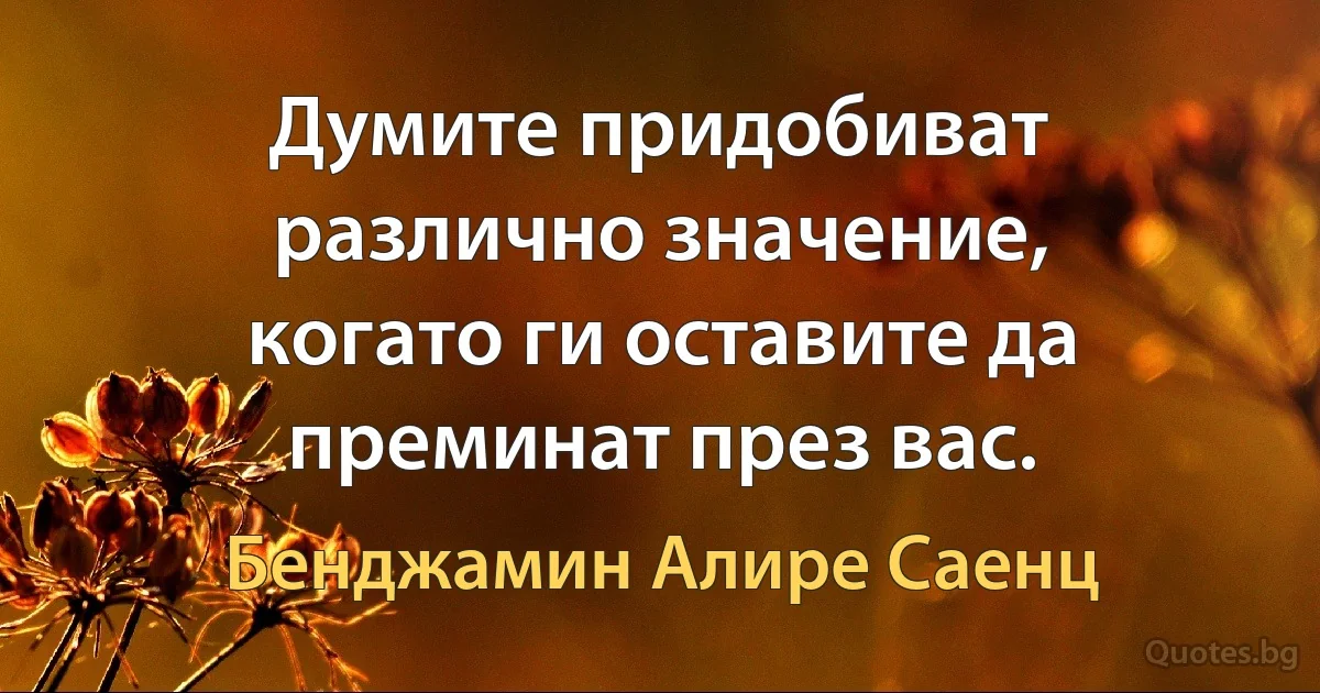 Думите придобиват различно значение, когато ги оставите да преминат през вас. (Бенджамин Алире Саенц)