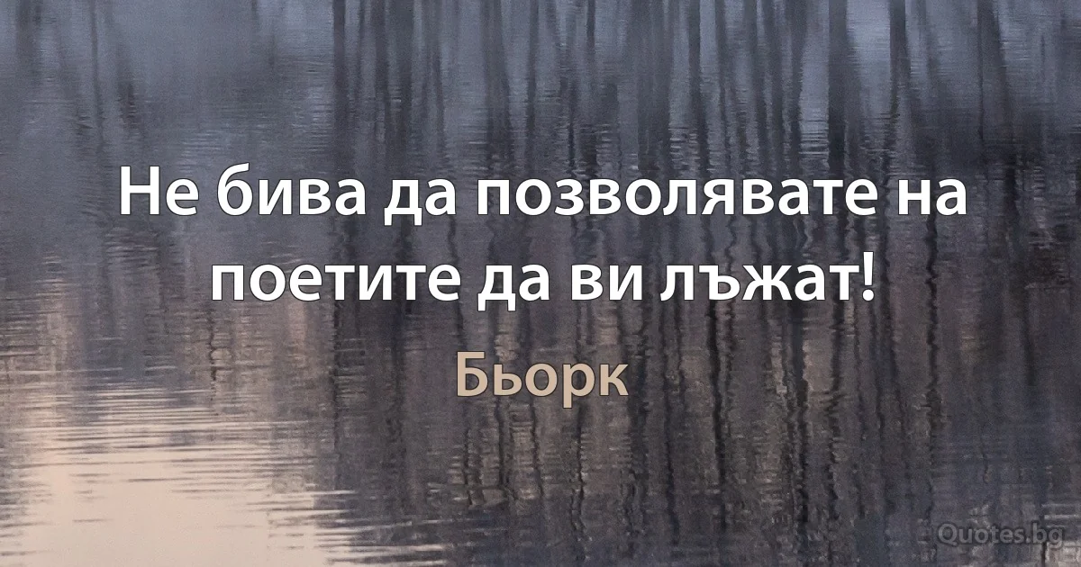 Не бива да позволявате на поетите да ви лъжат! (Бьорк)