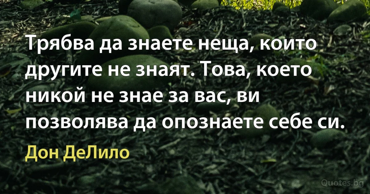 Трябва да знаете неща, които другите не знаят. Това, което никой не знае за вас, ви позволява да опознаете себе си. (Дон ДеЛило)