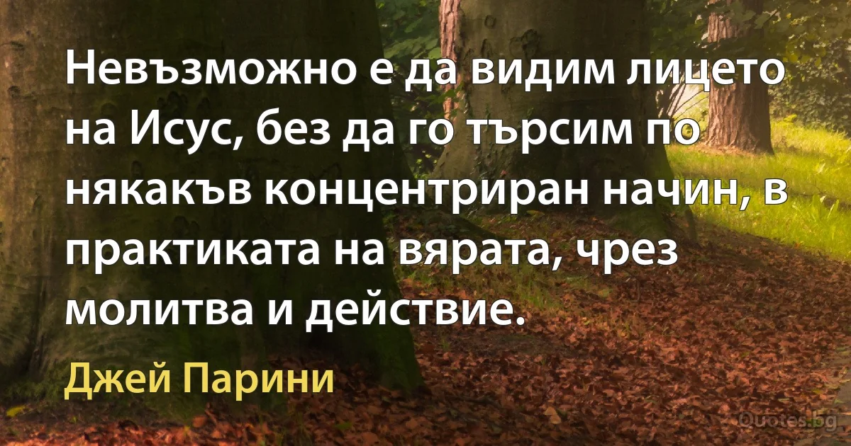 Невъзможно е да видим лицето на Исус, без да го търсим по някакъв концентриран начин, в практиката на вярата, чрез молитва и действие. (Джей Парини)