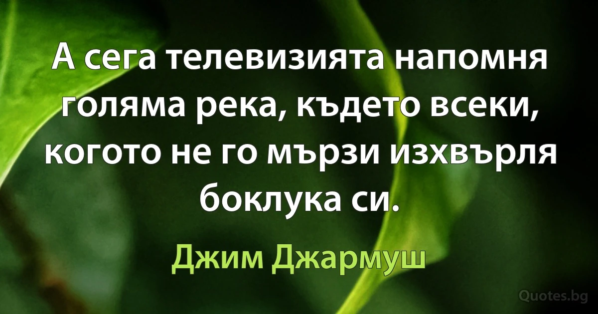 А сега телевизията напомня голяма река, където всеки, когото не го мързи изхвърля боклука си. (Джим Джармуш)