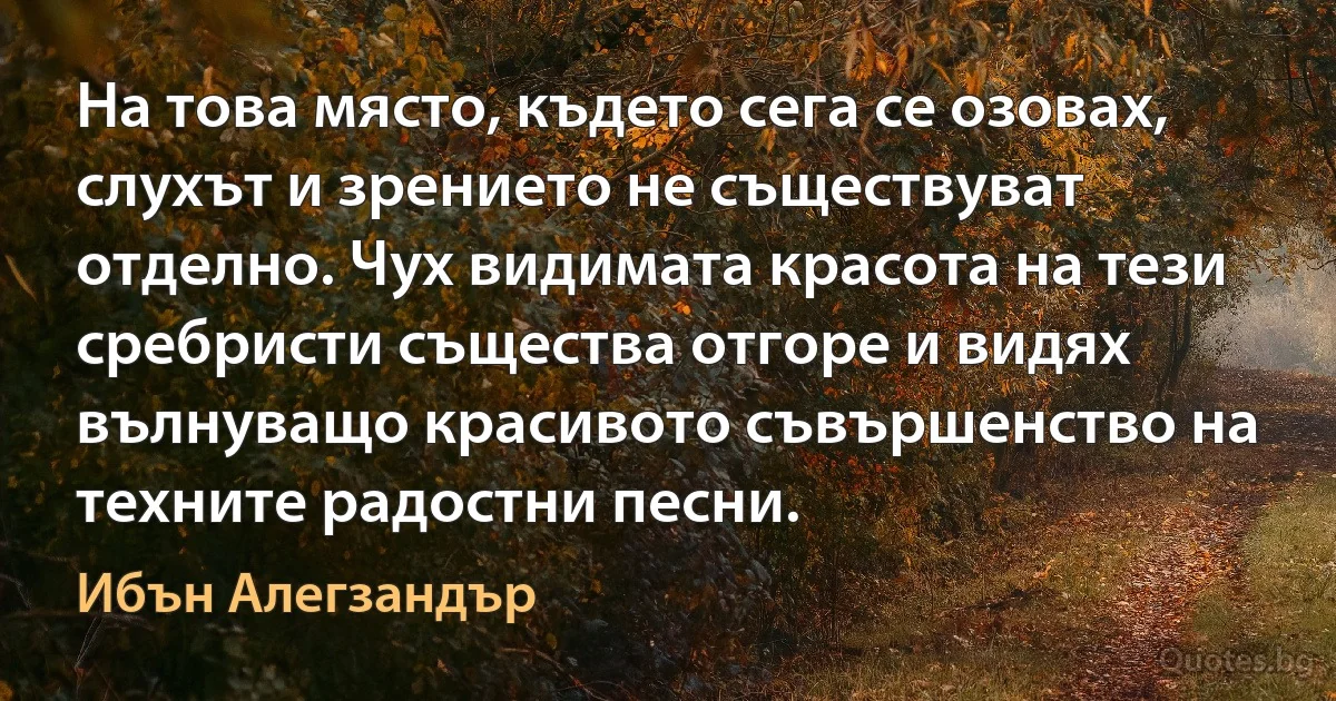 На това място, където сега се озовах, слухът и зрението не съществуват отделно. Чух видимата красота на тези сребристи същества отгоре и видях вълнуващо красивото съвършенство на техните радостни песни. (Ибън Алегзандър)