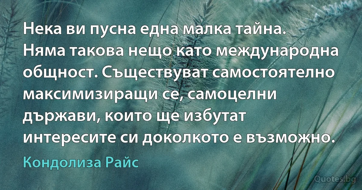 Нека ви пусна една малка тайна. Няма такова нещо като международна общност. Съществуват самостоятелно максимизиращи се, самоцелни държави, които ще избутат интересите си доколкото е възможно. (Кондолиза Райс)