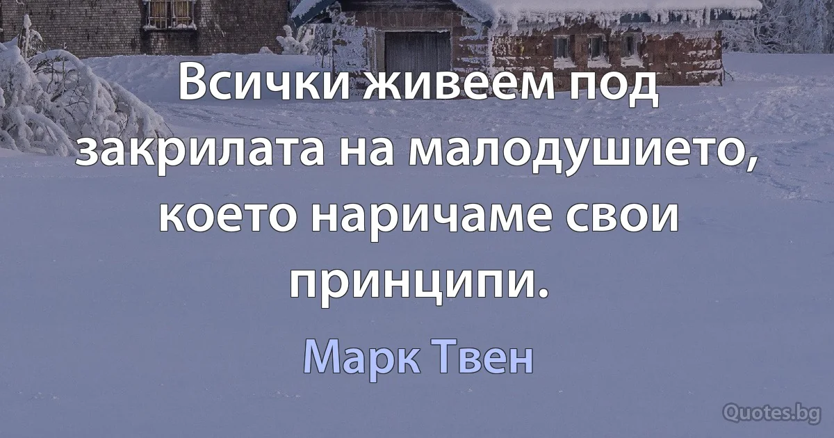 Всички живеем под закрилата на малодушието, което наричаме свои принципи. (Марк Твен)