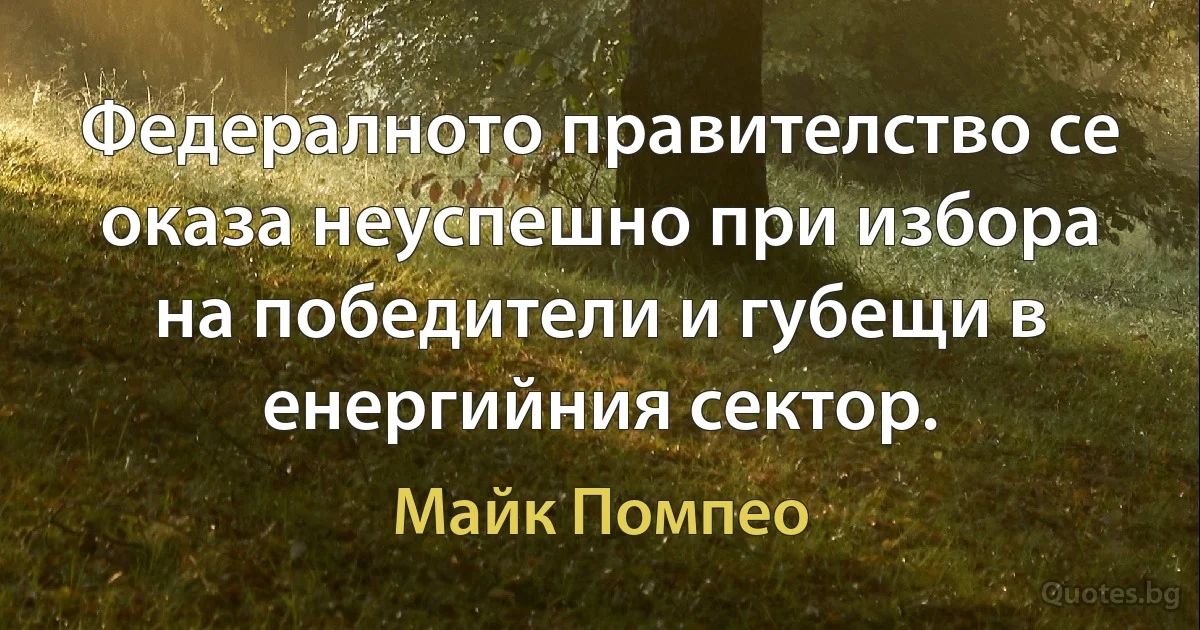 Федералното правителство се оказа неуспешно при избора на победители и губещи в енергийния сектор. (Майк Помпео)