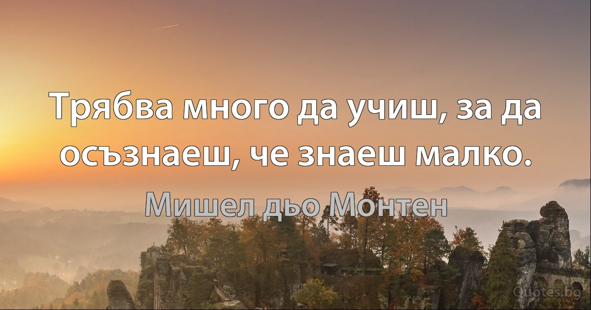 Трябва много да учиш, за да осъзнаеш, че знаеш малко. (Мишел дьо Монтен)