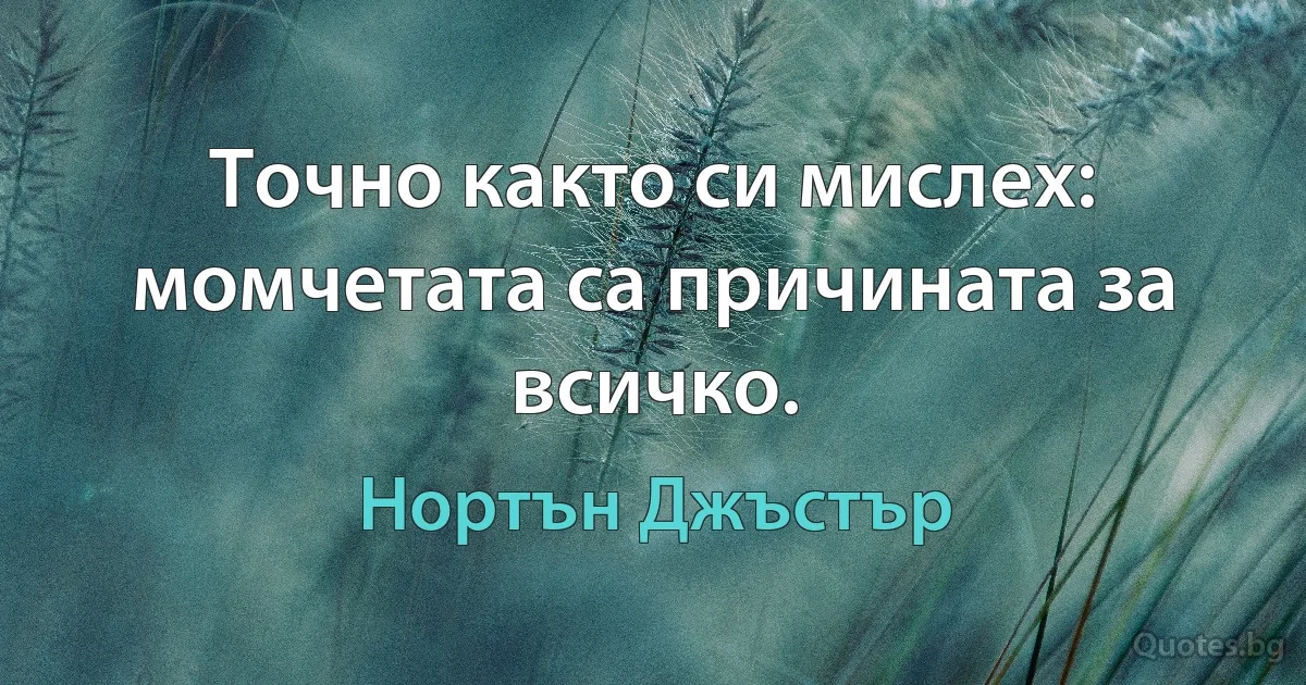 Точно както си мислех: момчетата са причината за всичко. (Нортън Джъстър)