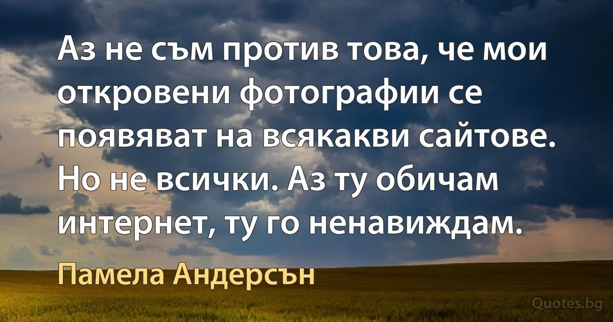 Аз не съм против това, че мои откровени фотографии се появяват на всякакви сайтове. Но не всички. Аз ту обичам интернет, ту го ненавиждам. (Памела Андерсън)