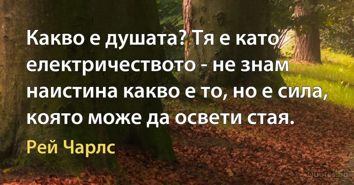 Какво е душата? Тя е като електричеството - не знам наистина какво е то, но е сила, която може да освети стая. (Рей Чарлс)